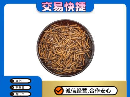 绵阳高价回收散虫草